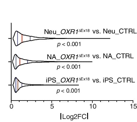 Open access visualization of Violin Plot, Log 2 FC Distribution, DEGs, OXR1 ΔEx18, Differentiation Stage