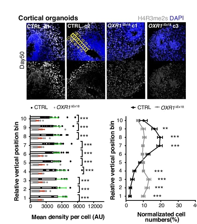 Open access visualization of Microscopy, Bar Plot, Line Plot, Error Bars, Immunohistochemistry