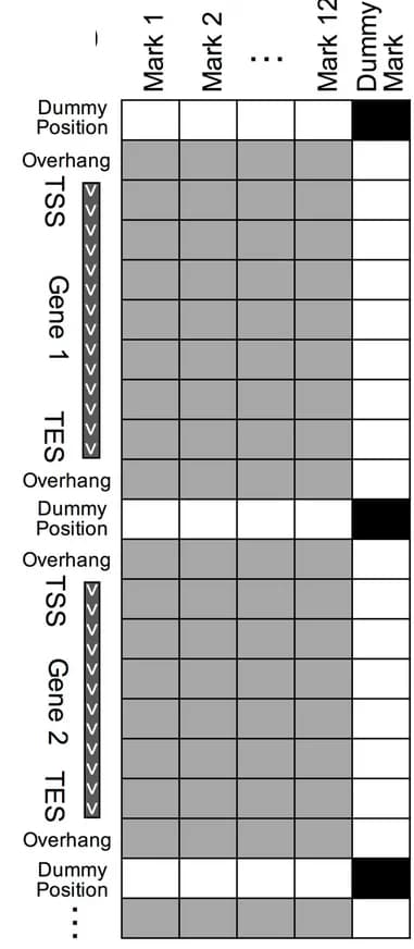 Open access visualization of Heatmap, Data Matrix, Genes, Flanking Regions, Dummy Position