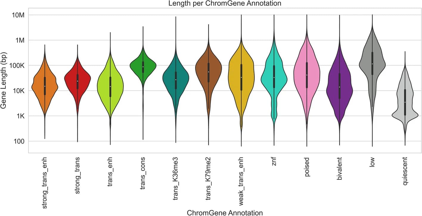 Open access visualization of Violin Plot, Gene Length, ChromGene Annotation, Length Distribution, Log Transformation