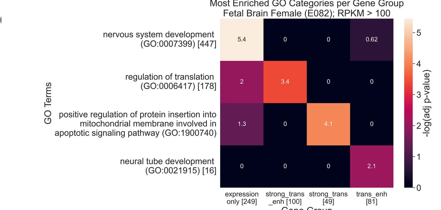 Open access visualization of Heatmap, GO term, Gene set enrichment, Highly expressed genes, ChromGene annotations
