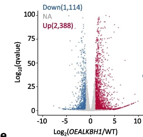 Open access visualization of Volcano Plot, RNA-seq, Differentially Expressed Genes, Overexpression Lines, Wild Type