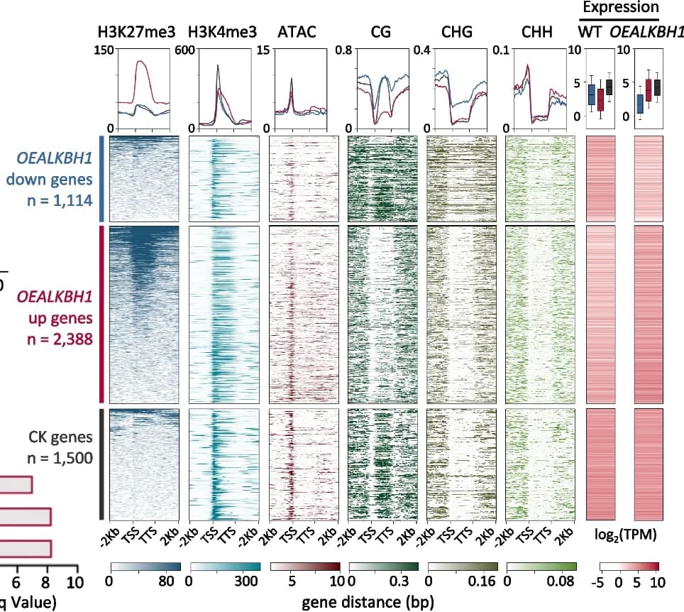Open access visualization of Heatmap, Line Plot, Box Plot, Bar Plot, Metaplots