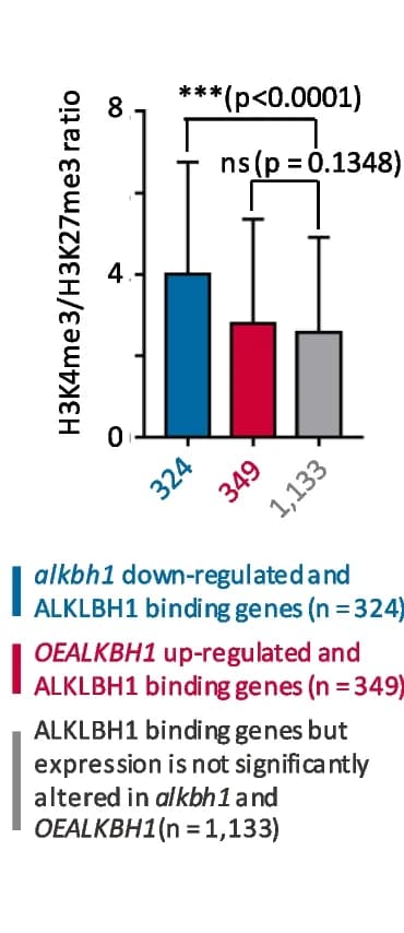 Open access visualization of Bar Plot, Error Bars, H3K4me3/H3K27me3 ratios, ALKBH1-binding genes, Mutant Plants