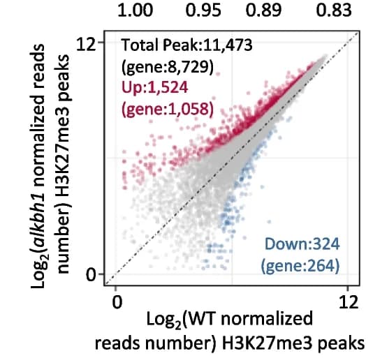 Open access visualization of Scatter Plot, H3K27me3 ChIP-seq, Scatterplots, Normalized Read Number, Downregulated Peaks