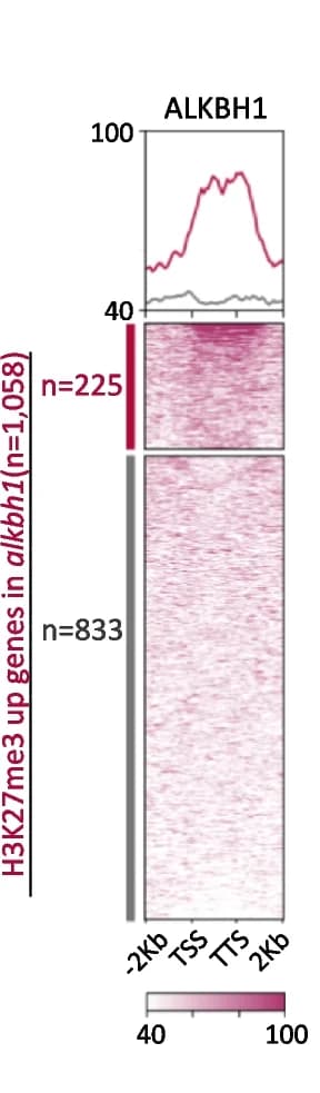 Open access visualization of Heatmap, Line Plot, Bar Plot, Heatmaps, Metaplots