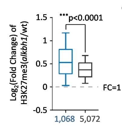 Open access visualization of Box Plot, H3K27me3, Genes, alkbh1, Wild Type
