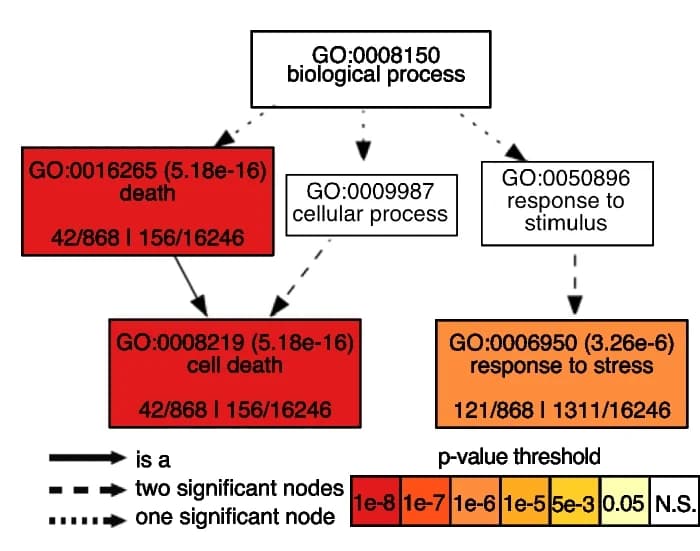 Open access visualization of Workflow, Flowchart, GO-term, Biological Process, Enrichment