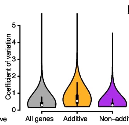 Open access visualization of Violin Plot, Additive Genes, Dominant Genes, Coefficient of Variation, Gene Expression