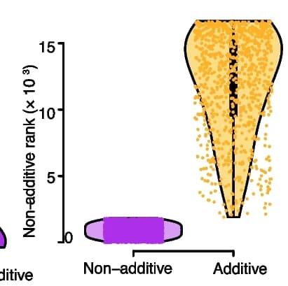 Open access visualization of Violin Plot, Additive Genes, Dominance Score, Gene Ranking