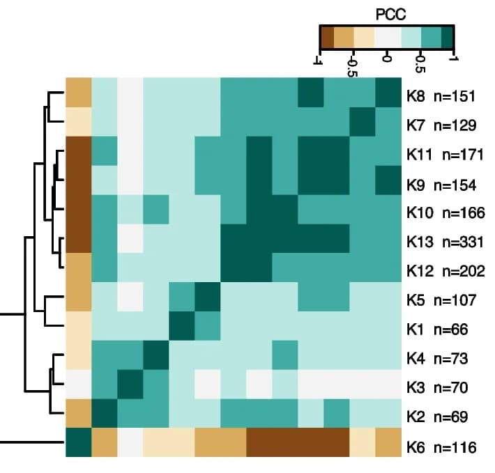 Open access visualization of Heatmap, Clustered, Correlation, Dominant Gene Clusters, Pearson Correlation