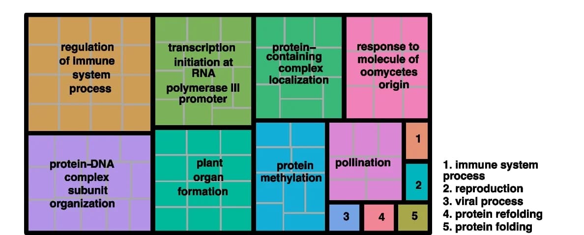 Open access visualization of Treemap, Revigo, Biological Processes, Enrichment, Dominant Genes