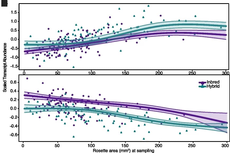 Open access visualization of Scatter Plot, Regression Plot, Linear Mixed Model, Spline Fitting, Gene Expression