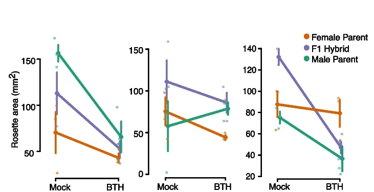 Open access visualization of Line Plot, Error Bars, Scatter Plot