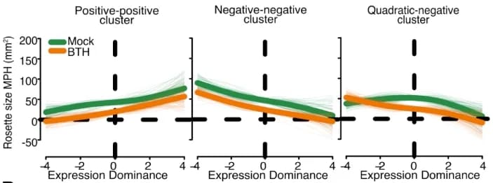 Open access visualization of Line Plot, Gene Clusters, Gene Expression, Spline Fitting
