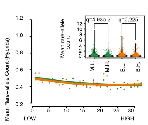 Open access visualization of Line Plot, Scatter Plot, Violin Plot, Gene Expression, Rare Allele