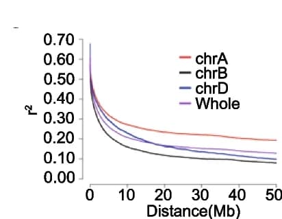 Open access visualization of Line Plot, Linkage Disequilibrium, Wheat Genome, SNP Markers