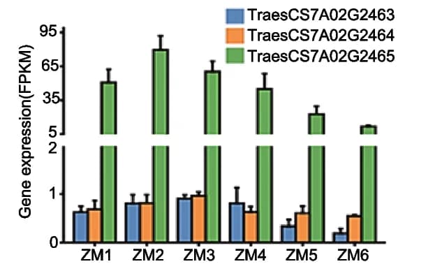 Open access visualization of Bar Plot, Error Bars, Clustered, Transcript Levels, Gene Expression