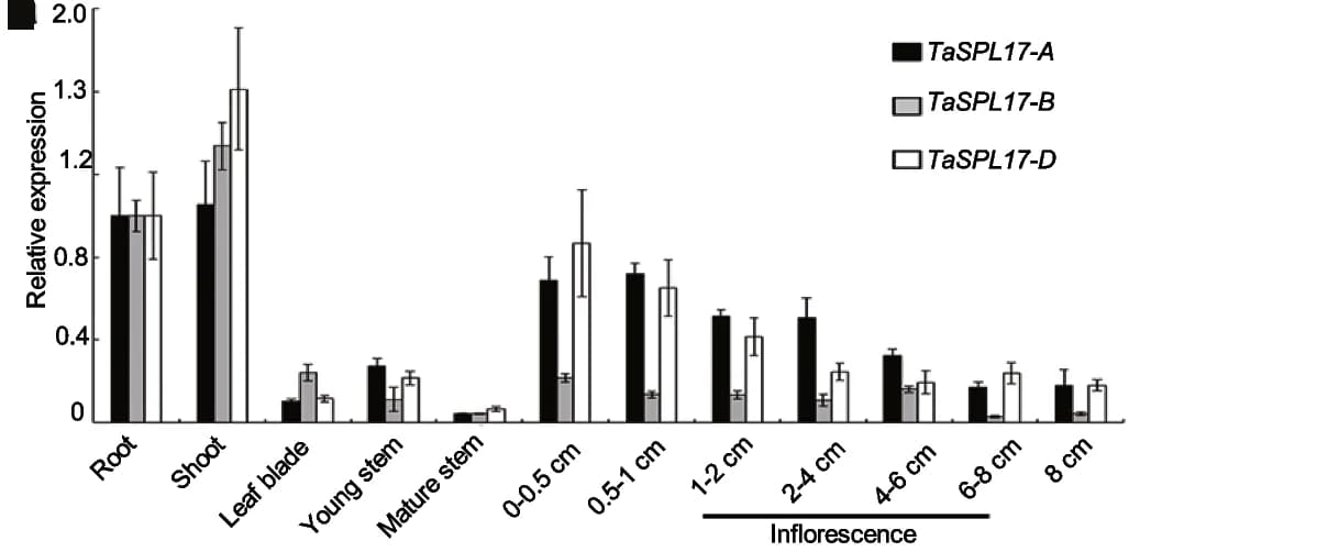 Open access visualization of Bar Plot, Error Bars, Clustered, RT-PCR, Transcript Levels