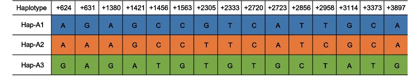 Open access visualization of Table Image, Haplotypes, SNPs, TaSPL17-A gene