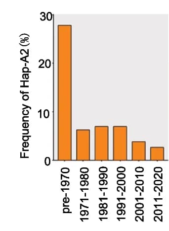 Open access visualization of Bar Plot, Frequency, Hap-A2, Chinese wheat accessions