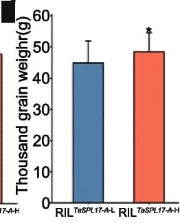 Open access visualization of Bar Plot, Error Bars, Spike Length, Spikelet Number, Grain Number per Spikelet