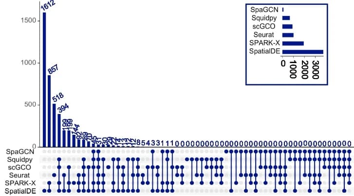 Open access visualization of Bar Plot, UpSet, Spatial Variable Genes, SpaGCN, Squidpy