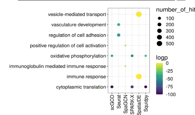 Open access visualization of Bubble Plot, Scatter Plot, Gene Ontology, FF Endometrial Adenocarcinoma Ovarian Tissue, Spatial Variable Genes