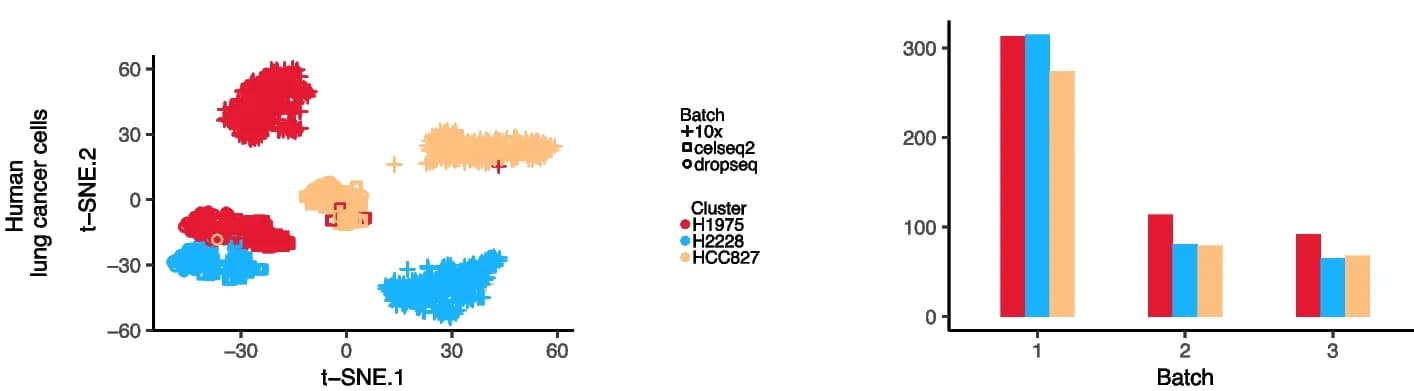 Open access visualization of Scatter Plot, Bar Plot, Clustered, t-SNE projection, Cell types