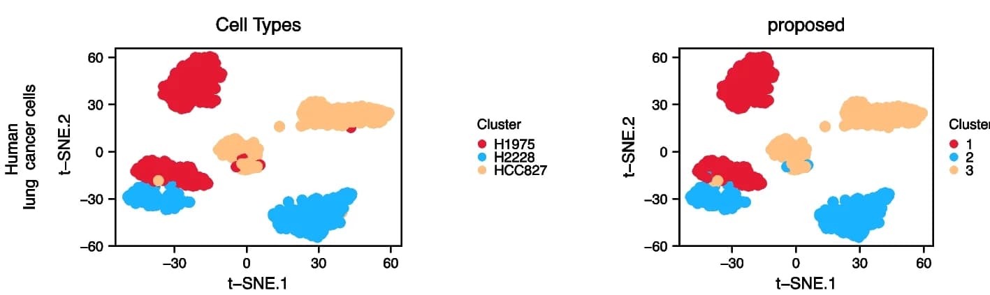 Open access visualization of Scatter Plot, UMAP, PCA, t-SNE projection, Human Lung Cancer Cells
