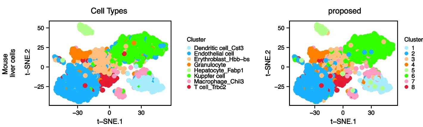 Open access visualization of Scatter Plot, UMAP, t-SNE projection, Mouse Liver Cells, Cell Types