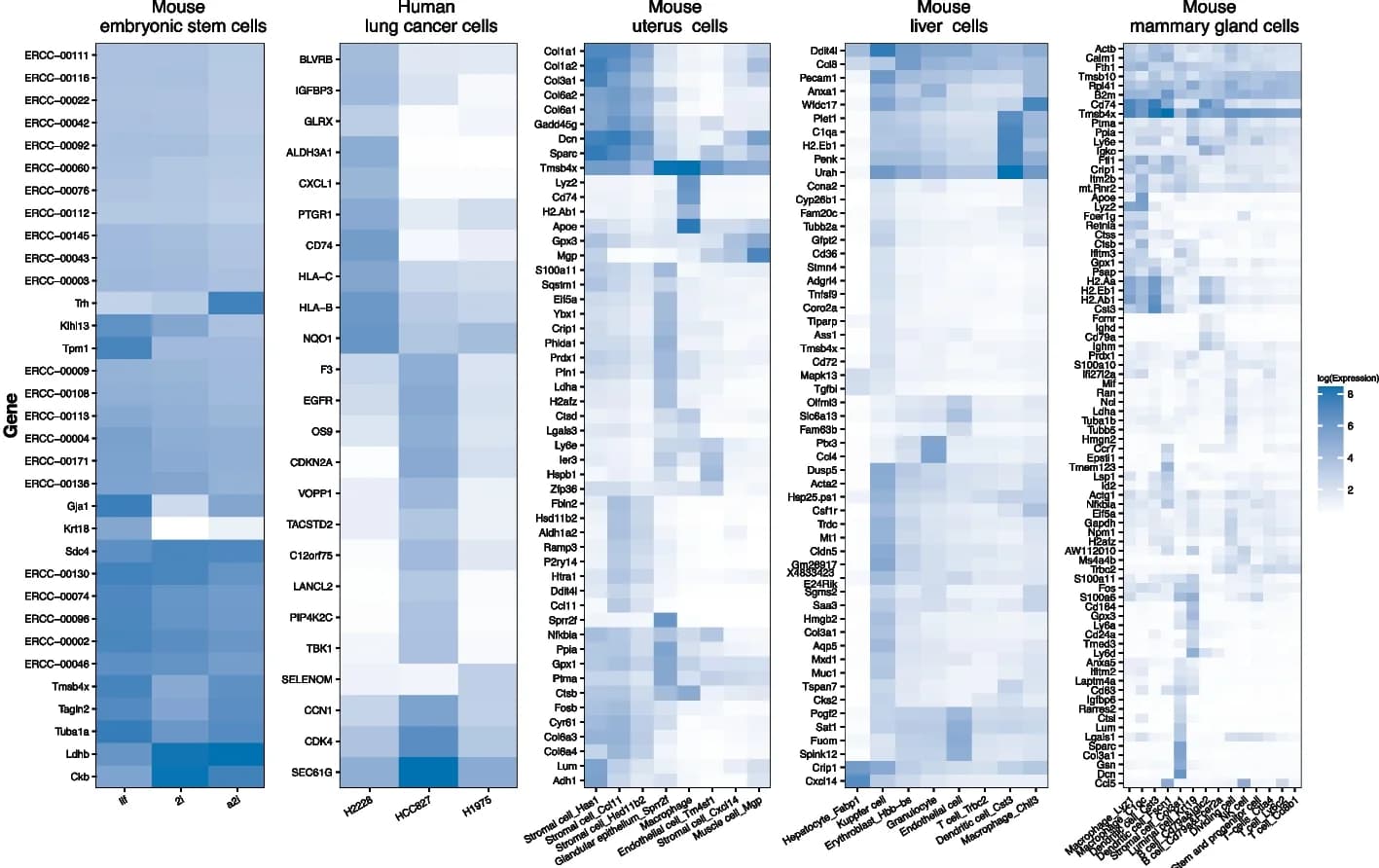 Open access visualization of Heatmap, Clustered, Gene Expression, Cell Types, Identified Genes