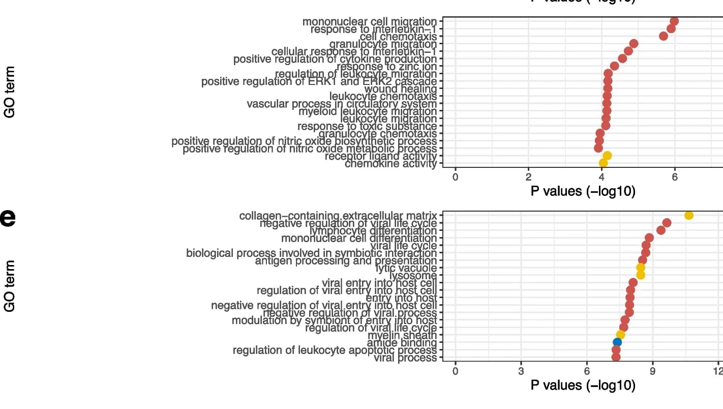 Open access visualization of Scatter Plot, Volcano Plot, GO Enrichment Analysis, Reference P-values, Mouse Liver Cells
