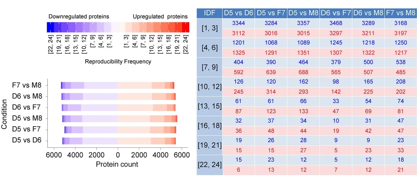 Open access visualization of Stacked Bar Plot, Heatmap, Table Image, Differentially Expressed Proteins, Pairwise Comparisons