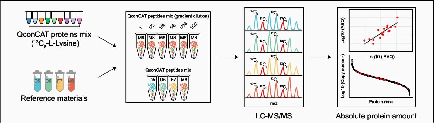 Open access visualization of Workflow, Line Plot, Scatter Plot, Absolute Quantification, Workflows