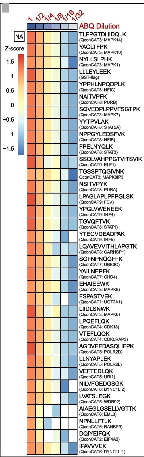 Open access visualization of Heatmap, Linearity, Peptide Candidates, Internal Standards, Dilution Series