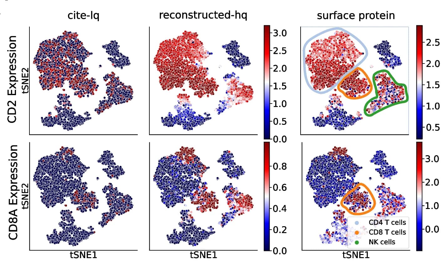 Open access visualization of Scatter Plot, UMAP, PCA, t-SNE, CD2