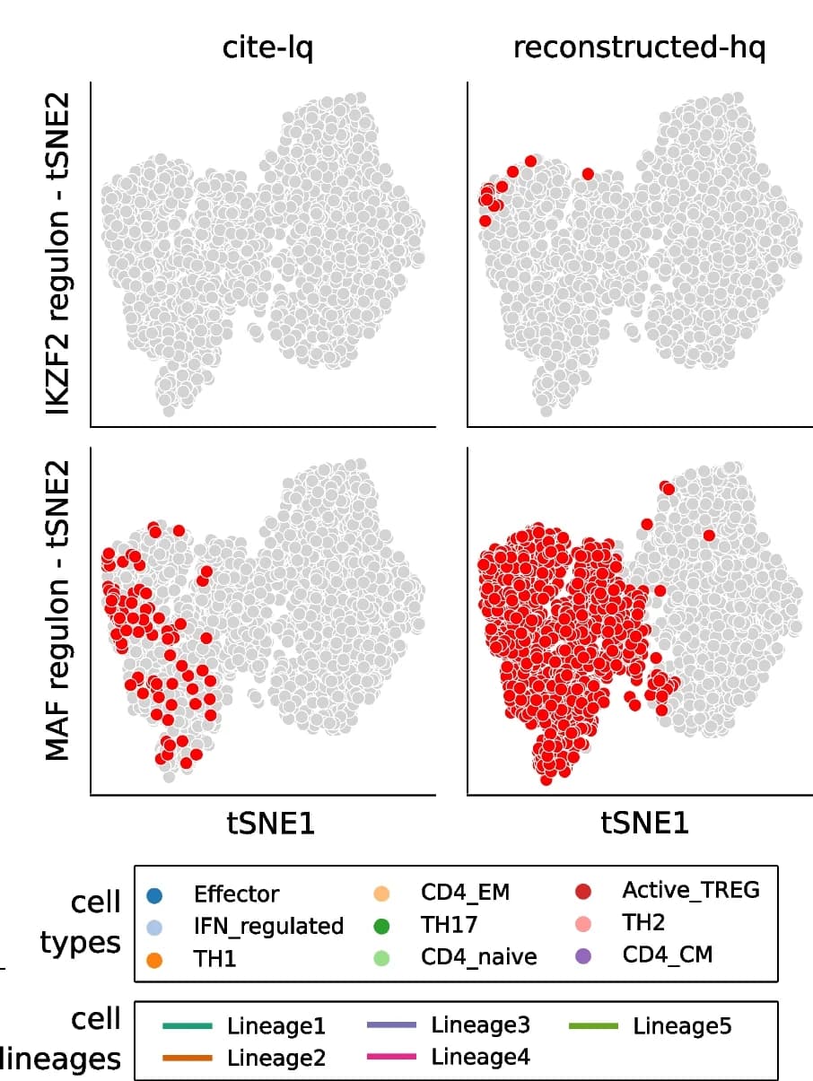 Open access visualization of Scatter Plot, UMAP, Regulons, CD4 + T Cell Subtypes, pySCENIC