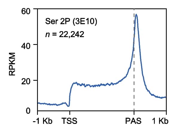 Open access visualization of Line Plot, Pol II, Protein-coding genes, pNET-seq data, Transcription start site