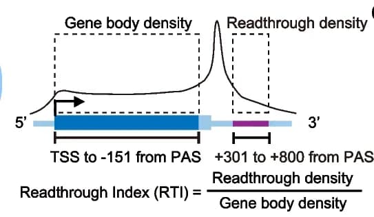 Open access visualization of Line Plot, Illustration, Box Plot, 3’PI, Col-0