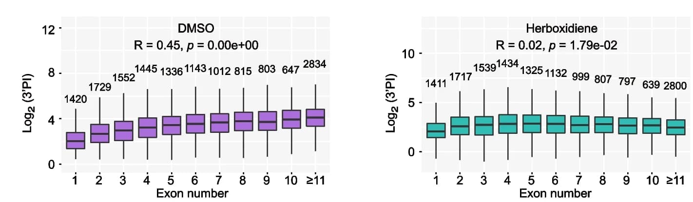 Open access visualization of Box Plot, 3'PI, Exon Numbers, DMSO, Herboxidiene