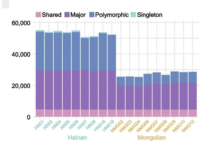 Open access visualization of Stacked Bar Plot, Structural Variations, Sample Classification, Shared SVs, Major SVs