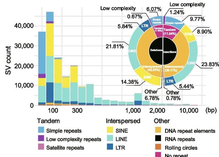 Open access visualization of Stacked Bar Plot, Donut Chart, Bar Plot, Insertions, Deletions