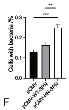 Open access visualization of Bar Plot, Error Bars, RAW264.7 Cells, Transfection, H37Ra Strain
