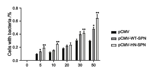 Open access visualization of Bar Plot, Error Bars, Clustered, RAW264.7 Cells, Transfection