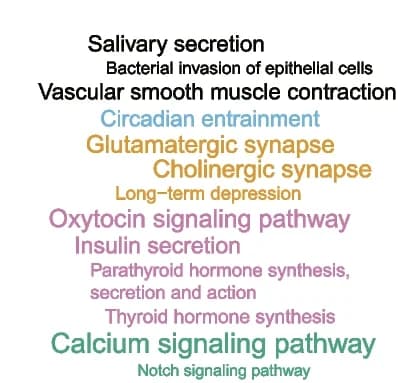 Open access visualization of Workflow, Illustration, KEGG Pathways, Genes, Structural Variations