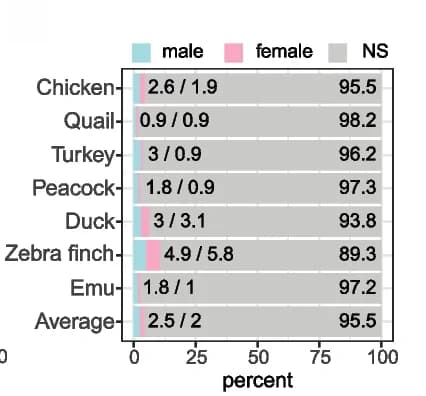 Open access visualization of Bar Plot, Stacked Bar Plot, Differentially Expressed Genes, Male Fibroblast Cells, Female Fibroblast Cells