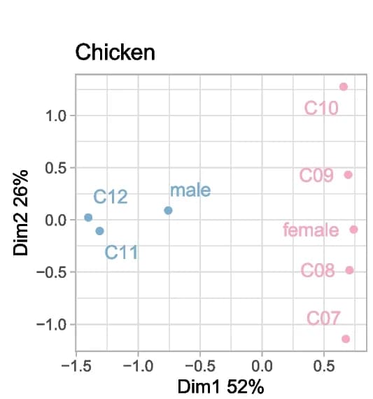 Open access visualization of Scatter Plot, PCA, Multi-Dimensional Scaling Plot, Chicken Fibroblast Samples, CAGE-seq Samples