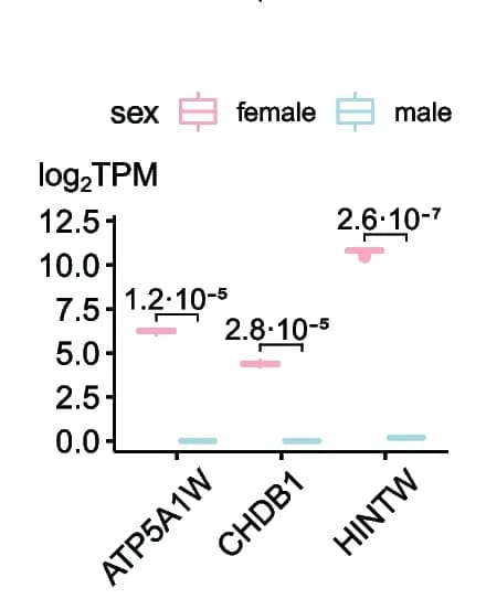 Open access visualization of Bar Plot, Error Bars, Expression Profiles, Sex Markers, Chicken