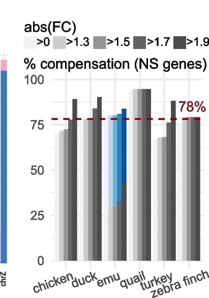 Open access visualization of Bar Plot, Clustered, Compensated Genes, chrZ, Birds
